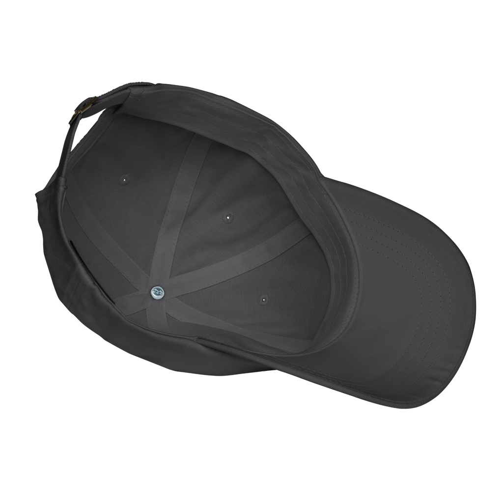 uplift classic dad hat - charcoal / sage